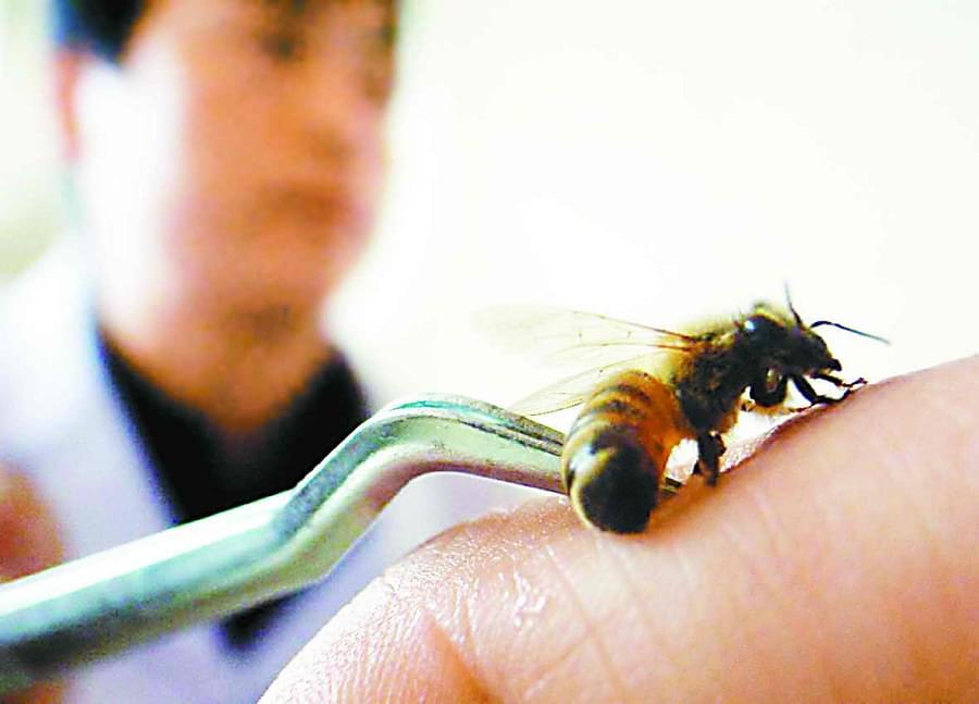 Bee Venom Kills Some Breast Cancer Cells