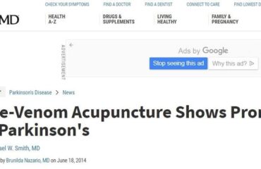 New Breakthrough--Bee Venom Acupuncture Shows Promise In Parkinson's